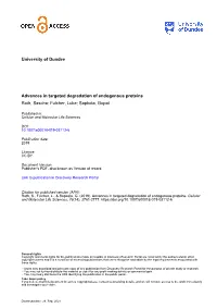Advances in Targeted Degradation of Endogenous Proteins Roth, Sascha; Fulcher, Luke; Sapkota, Gopal