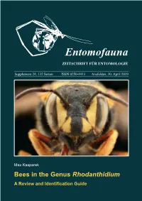 Bees in the Genus Rhodanthidium. a Review and Identification