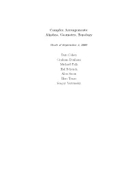 Complex Arrangements: Algebra, Geometry, Topology Dan Cohen