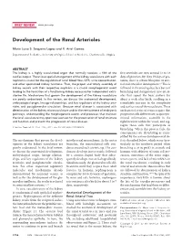 Development of the Renal Arterioles