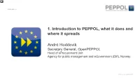 Introduction to the Norwegian Electronic Public Procurement Work