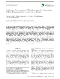 Isolation and Characterization of S-Rnase-Homologous Genes Expressed in Styles in ‘Hyuganatsu’ (Citrus Tamurana Hort