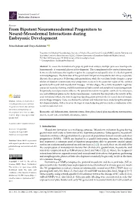 From Bipotent Neuromesodermal Progenitors to Neural-Mesodermal Interactions During Embryonic Development