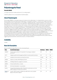 Blueprint Genetics Polymicrogyria Panel