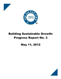 Building Sustainable Growth: Progress Report No. 3