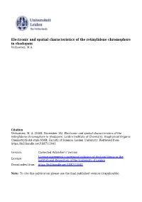 Electronic and Spatial Characteristics of the Retinylidene Chromophore of Rhodopsin