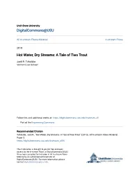 Hot Water, Dry Streams: a Tale of Two Trout