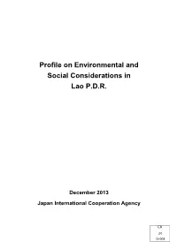 Profile on Environmental and Social Considerations in Lao P.D.R