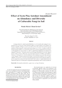 Effect of Scots Pine Sawdust Amendment on Abundance and Diversity of Culturable Fungi in Soil