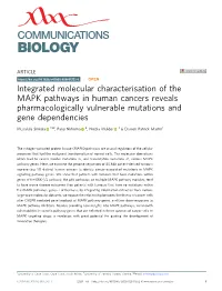 Integrated Molecular Characterisation of the MAPK Pathways in Human