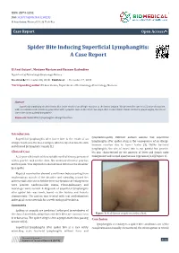 Spider Bite Inducing Superficial Lymphangitis: a Case Report