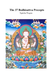 The 37 Bodhisattva Precepts Ngulchu Thogme