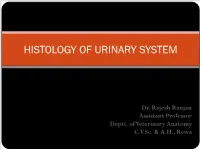 Histology of Urinary System