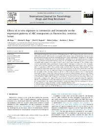 Vitro Exposure to Ivermectin and Levamisole on the Expression Patterns of ABC Transporters in Haemonchus Contortus Larvae