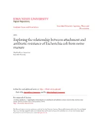Exploring the Relationship Between Attachment and Antibiotic Resistance of Escherichia Coli from Swine Manure Martha Reye Zwonitzer Iowa State University