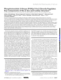 (PI3K(P110 )) Directly Regulates Key Components of the Z-Disc And