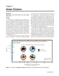 Avian Cholera (Chapter 7)