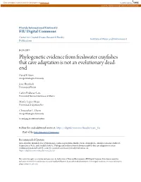 Phylogenetic Evidence from Freshwater Crayfishes That Cave Adaptation Is Not an Evolutionary Dead- End David B