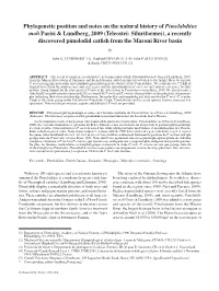 Phylogenetic Position and Notes on the Natural History of Pimelabditus