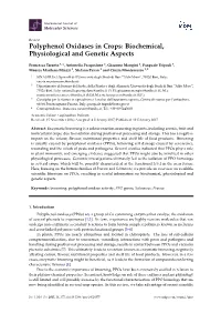 Polyphenol Oxidases in Crops: Biochemical, Physiological and Genetic Aspects