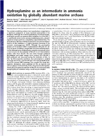 Hydroxylamine As an Intermediate in Ammonia Oxidation by Globally Abundant Marine Archaea