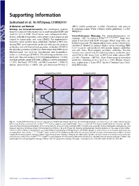 Supporting Information