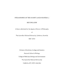 Phylogenomics of the Coconut (Cocos Nucifera L.)
