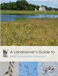 A Landowner's Guide to BWSR Conservation Easements