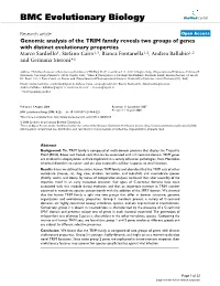Genomic Analysis of the TRIM Family Reveals Two Groups of Genes with Distinct Evolutionary Properties