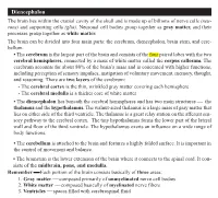 Diencephalon Sists of the Midbrain, Pons, and Medulla