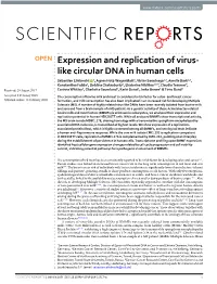 Expression and Replication of Virus-Like Circular DNA in Human Cells
