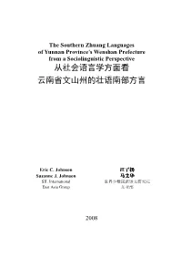 ICAES 2008 Yunnan Zhuang Language Use 26 April Final