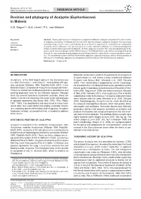Revision and Phylogeny of Acalypha (Euphorbiaceae) in Malesia