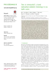 Time in Tortoiseshell: a Bomb Radiocarbon-Validated Chronology