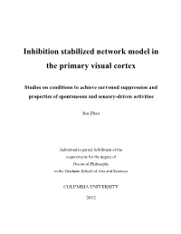 Inhibition Stabilized Network Model in the Primary Visual Cortex