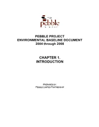 Introduction to Pebble