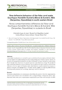 New Defensive Behaviour of the False Coral Snake Oxyrhopus Rhombifer