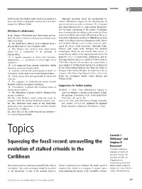 Squeezing the Fossil Record