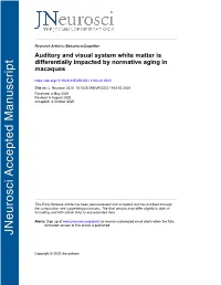Auditory and Visual System White Matter Is Differentially Impacted by Normative Aging in Macaques