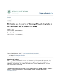 Distribution and Abundance of Submerged Aquatic Vegetation in the Chesapeake Bay: a Scientific Summary