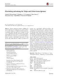 ﻿Elucidating and Mining the ﻿Tulipa﻿ and ﻿Lilium﻿ Transcriptomes