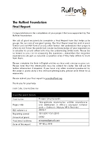 Final Report