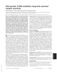Glial Protein S100B Modulates Long-Term Neuronal Synaptic Plasticity