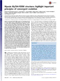 Myosin Myth4-FERM Structures Highlight Important Principles of Convergent Evolution
