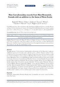 New Curculionoidea Records from New Brunswick, Canada with an Addition to the Fauna of Nova Scotia