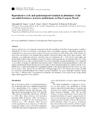 Reproductive Cycle and Spatiotemporal Variation in Abundance of the One-Sided Livebearer Jenynsia Multidentata, in Patos Lagoon, Brazil