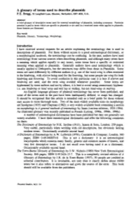 A Glossary of Terms Used to Describe Phasmids P.E