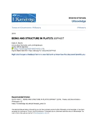 Being and Structure in Plato's Sophist