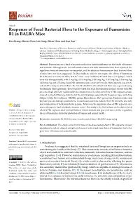 Response of Fecal Bacterial Flora to the Exposure of Fumonisin B1 in BALB/C Mice