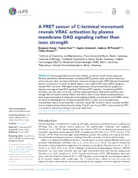 A FRET Sensor of C-Terminal Movement Reveals VRAC Activation